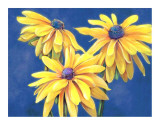 Rudbeckias Posters by M. de Flavis