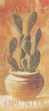 Opuntia Prints by Pascal Cessou