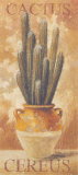 Cereus Poster par Pascal Cessou