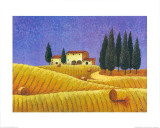 The Colours of Provence II Posters par M. Picard