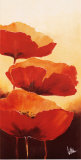 Three Red Poppies I Prints by Jettie Rosenboom