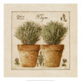 Herbes de Provence, Thym Póster por Pascal Cessou Herbes de Provence, Thym Póster por Pascal Cessou