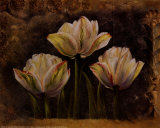 Triple Tulip II Kunstdruck von Rumi 