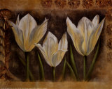 Triple Tulip I Art by Rumi