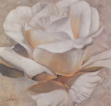White Passion II Poster by Rumi 