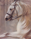 Esprit blanc Art par Rumi 