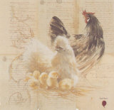 Les Poules Prints by Pascal Cessou