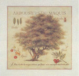 Arbousiers de Maquis Print by Pascal Cessou