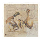 Les Canards Prints by Pascal Cessou