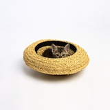 Gray Kitten Hiding in Hat Photographic Print by Pat Doyle