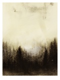 Skog Giclee-trykk av Brenda Chrystie Skog Giclee-trykk av Brenda Chrystie