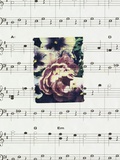 Flowers and Music Photographic Print by Kim Koza