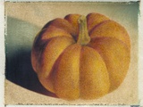 Pumpkin Photographic Print by Jennifer Kennard