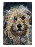 Detail of Yorkshire Terrier from Eugenie Graff (Madame Paul) Giclee Print by Claude Monet