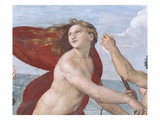 Detail Showing Galatea from Galatea Giclee Print by Raphael 
