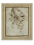 Caricature of a Woman Wearing a Hennin by Leonardo da Vinci Giclee Print