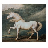 Adonis, King George III's Favorite Charger Giclee Print by James Ward