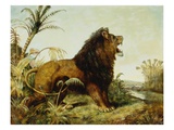A Lion in a Jungle Landscape Giclee Print by William Huggins