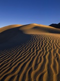Sand Dunes in Death Valley Photographic Print by Bill Ross