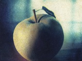 Green Apple Photographic Print by Jennifer Kennard