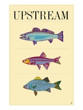 Upstream Giclee Print by Steve Collier
