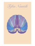 Tefta Nautili Wydruk giclee autor Steve Collier Tefta Nautili Wydruk giclee autor Steve Collier