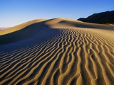 Sand Dunes in Death Valley Photographic Print by Bill Ross