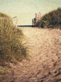 First Encounter Beach Photographic Print by Jennifer Kennard