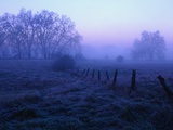 Meadow in the Morning Mist Fotografisk trykk av Bruce Burkhardt Meadow in the Morning Mist Fotografisk trykk av Bruce Burkhardt