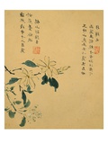 Flowers, from an Album of Ten Leaves Giclee Print by Zhou Xianji