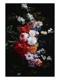 A Swag of Pink and White Roses Giclee Print by Nicolaes van Veerendael