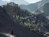 A Woman Leads Her Sheep Past Lamayuru Gompa and its Hilltop Village Photographic Print by Thomas J. Abercrombie