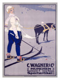 Articles de sport C. Wagner Reproduction procédé giclée par Carl Moos