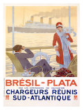 Bresil-Plata Giclee Print by Sandy Hook