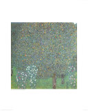 Roses under the Trees Affiches par Gustav Klimt