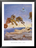 Reve Cause Par Le Vol D'une Abeille Auto Posters by Salvador Dalí