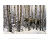 A Walk in the Woods Poster by Stephen Lyman