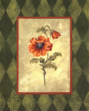 Poppy II Posters by Stephanie Marrott Poppy II Posters by Stephanie Marrott