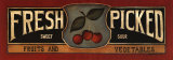 Fresh Picked Posters by Kim Lewis