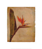 Kauai Prints by Linda Maron