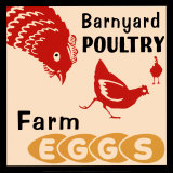 Barnyard Poultry-Farm Eggs Posters