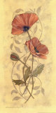 Poppy II Posters by Stephanie Marrott Poppy II Posters by Stephanie Marrott