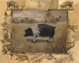 Pig Affiches par Anita Phillips