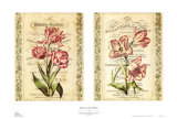Botanical Garden Petites Posters by Zachary Alexander