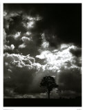 The Veil of the Sky Prints by Stephen Rutherford-Bate