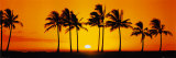 Hawaïaanse zonsondergang Poster