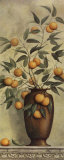 Apricotier Posters by Daphne Brissonnet