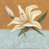 Serene Prints by Julianne Marcoux