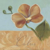 Calm Prints by Julianne Marcoux