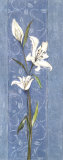 Soft Blue Lily Prints by Katherine & Elizabeth Pope